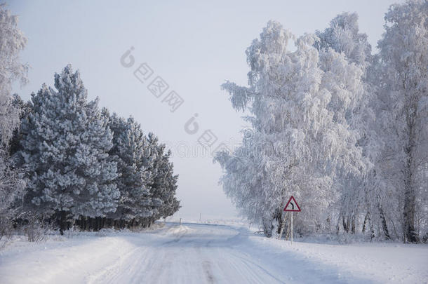 冬季俄罗斯森林雪路