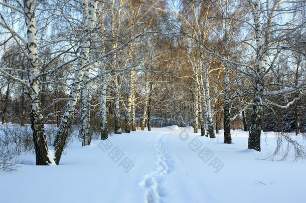 雪路