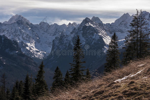 美丽的冬季风景的大雪山山峰