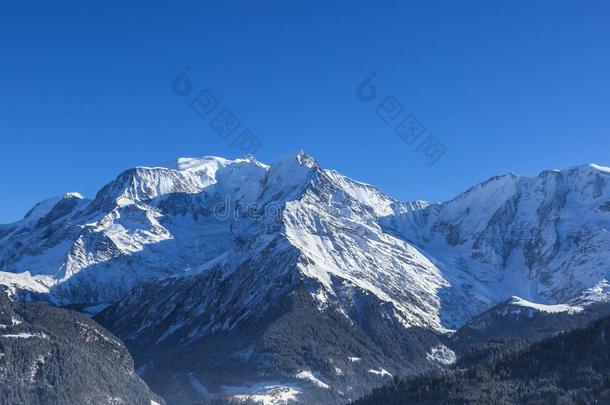 勃朗峰地块