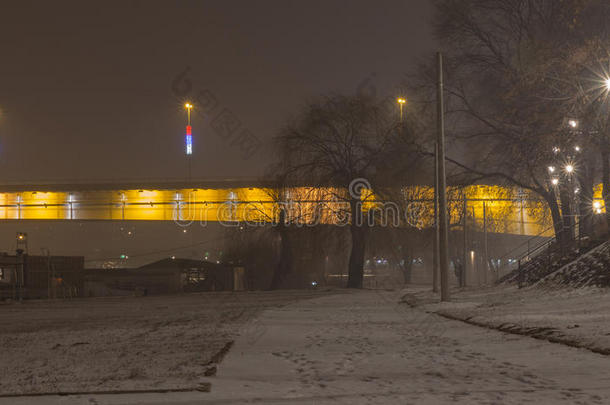 布兰科`在贝尔格莱德塞尔维亚雾夜的桥上