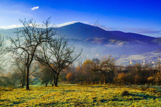 秋天的风景，一棵没有叶子的树，绿草上的烟，背景中雾中的蓝山。