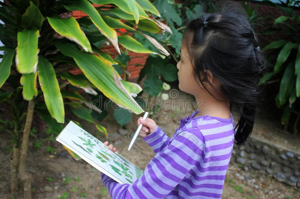 亚洲<strong>儿童学习</strong>生物植物物种。