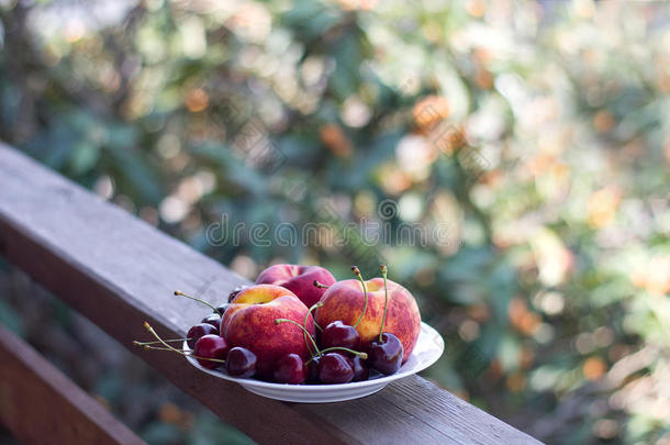 木架上的一盘新鲜水果和浆果和杏树的自然背景。