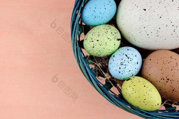 复活节彩色鹌鹑蛋在蓝色篮子在淡粉色背景。