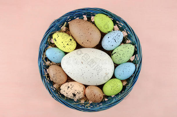 复活节彩色鹌鹑蛋在淡粉色的背景上。