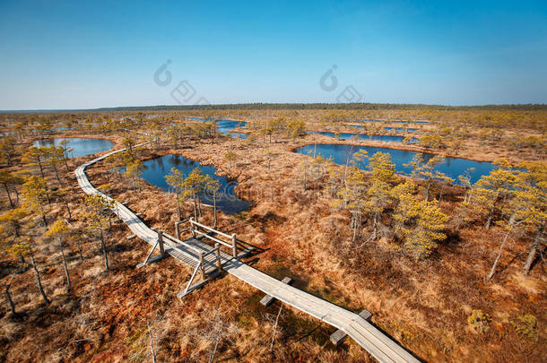 大<strong>沼泽湿地</strong>凯梅里国家公园，拉脱维亚
