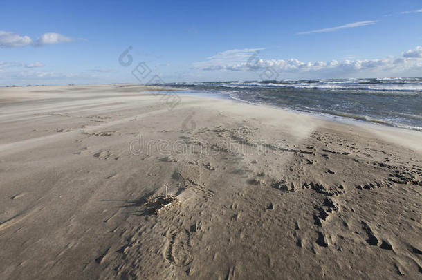 海滩美丽的蓝色<strong>沙漠沙丘</strong>