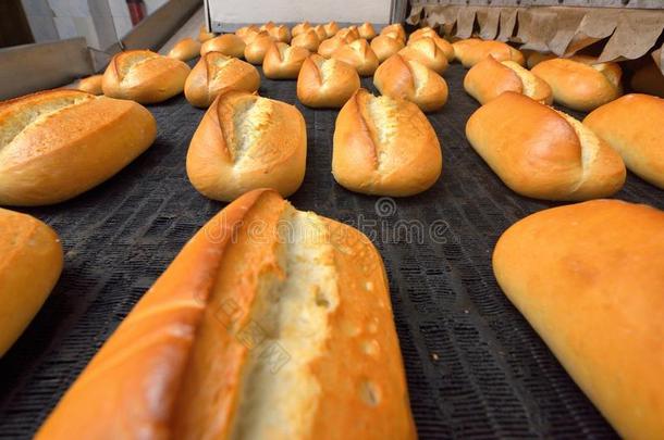 面包。 面包<strong>店</strong>。 面包<strong>店</strong>。 面包的生产。 烤箱里的新鲜白面包。