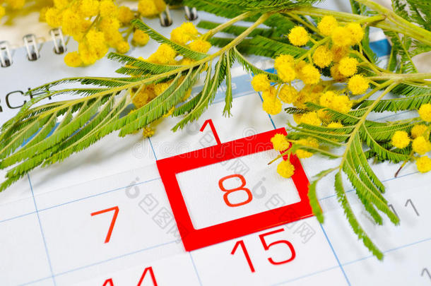 三月八日卡片-含羞草花在日历上，上面有3月8日的框架
