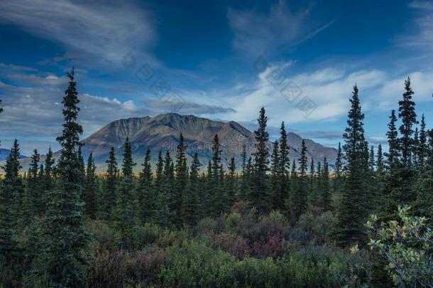 2016年8月26日-阿拉斯加中部山脉的景观景观-阿拉斯加德纳利公路8号公路，一条土路提供了令人惊叹的景色
