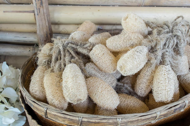 一组天然丝绒海绵在传统的藤篮由干燥的西葫芦制成，用于水疗配件擦洗身体皮肤