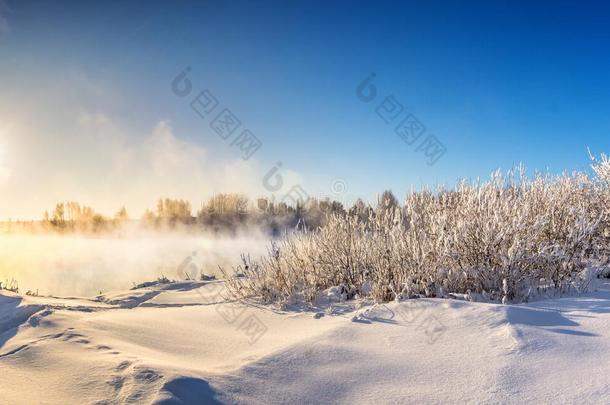 四月树皮暴风雪分支云