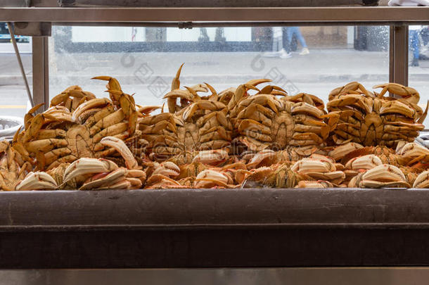 加州圣弗兰西斯科的螃蟹小屋的冰箱里煮螃蟹
