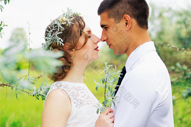 橄榄<strong>树上漂亮</strong>的年轻夫妇。 婚礼。