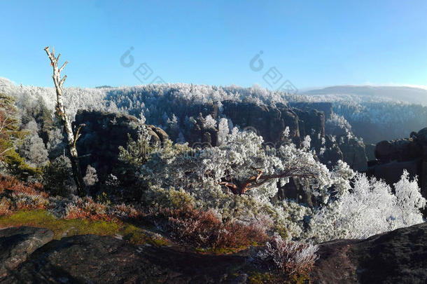 冬天的埃贝砂岩山，温特伯格