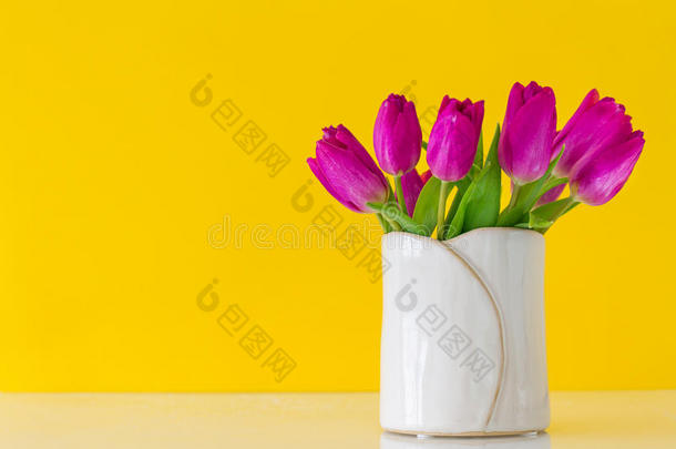 美丽的清<strong>新春</strong>天，莱拉郁金香在花瓶的黄色<strong>背景</strong>。