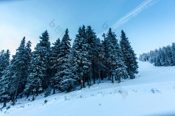 喀尔巴阡山的冬天
