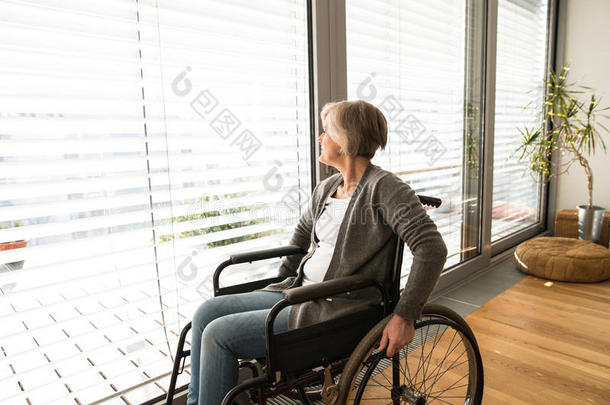 残疾人<strong>老年</strong>妇女坐<strong>轮椅</strong>在家客厅。