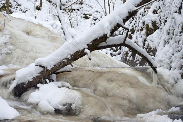 冰冻的瀑布，冰冷的树枝和冰冷的巨石在冻结的泡沫快速的溪流。 冬天的小溪。 极度冻结。