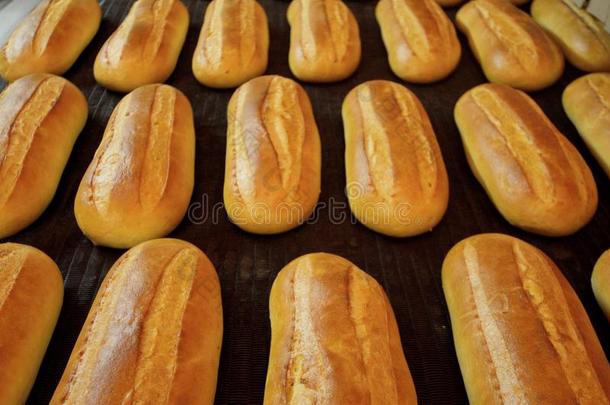 面包。 面包店。 面包店。 面包的生产。 烤箱里的新鲜白面包。