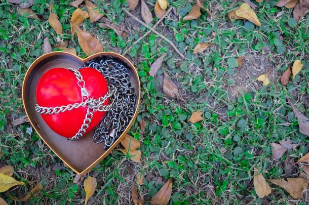 一颗红色的心系在白纸上，爱情和浪漫，情人节的概念。