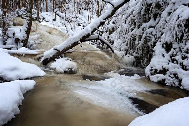 冰冻的瀑布，瀑布，冰冷的树枝和冰冷的巨石在冻结的泡沫快速的溪流。 冬天的小溪。 极度冻结。