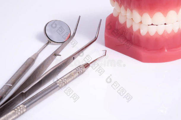 牙科示范牙齿模型和牙科工具在白色背部