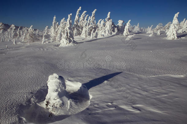 山上的冬季雪景。