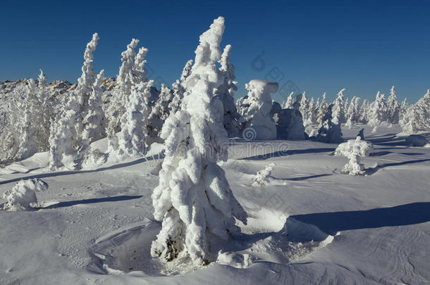 山上的冬季雪景。