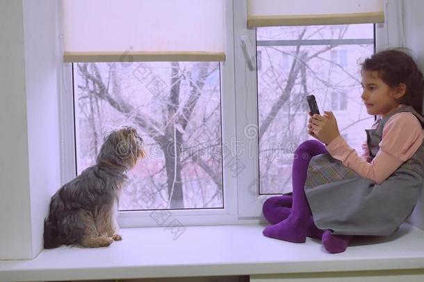 女孩青少年玩网络游戏智能手机和狗坐在宠物<strong>窗台窗台</strong>