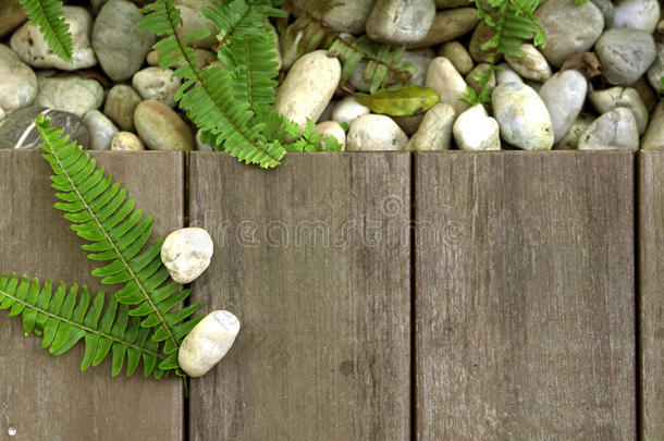蕨类植物和鹅卵石在木地板上纹理自然背景