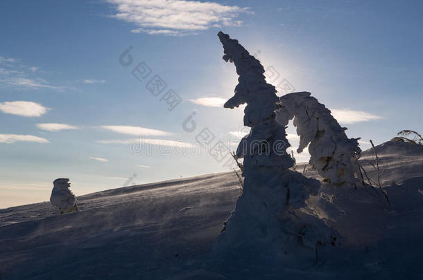 山上的冬季雪景。