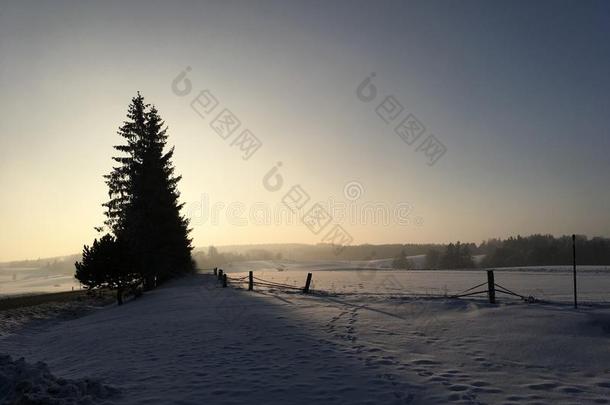 寒冷的盖满徒步旅行一月风景