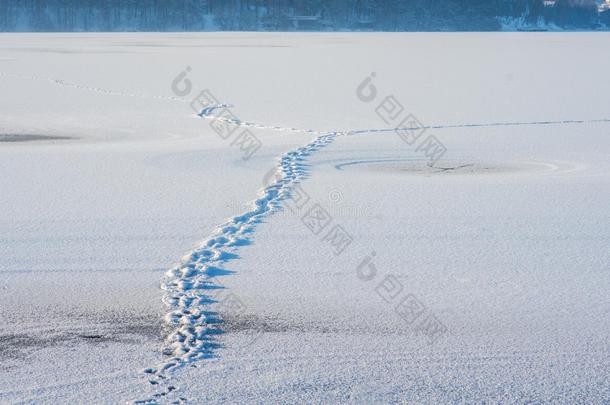 雪地上的脚步声