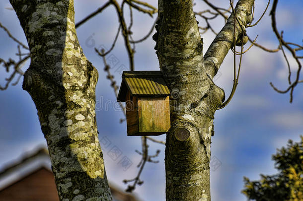 英国伯恩利春天林地小径上的鸟屋