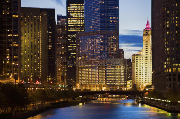 建筑芝加哥城市城市景观市中心