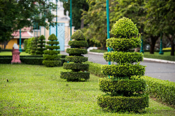 亚洲寺庙切割树木花园装饰
