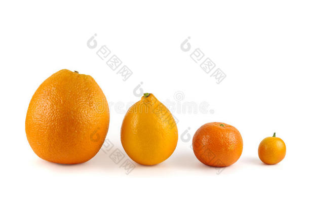 新鲜成熟的柑橘。 <strong>柠檬</strong>，<strong>金橘</strong>，橘子和橘子