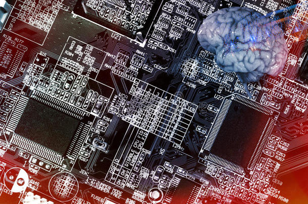 计算机化，电路板和人脑