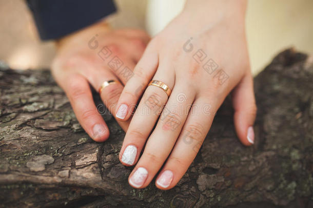 新婚夫妇的手特写。 有结婚戒指的新婚夫妇的手