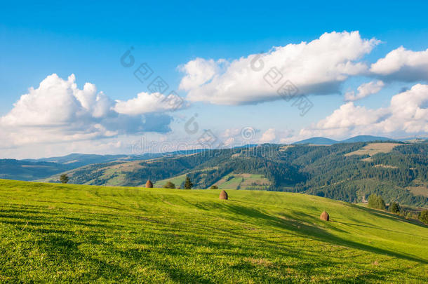 喀尔巴阡山景观与蓝色多云的天空在夏天