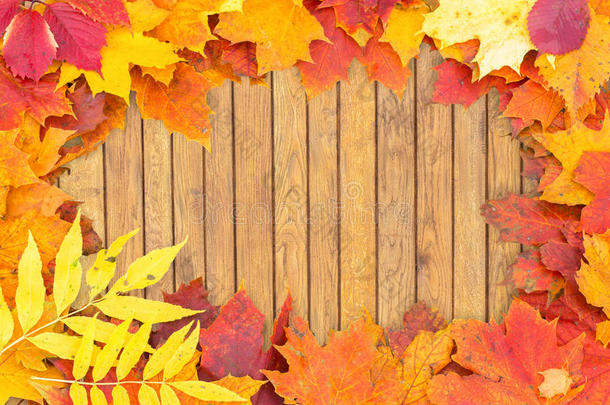 秋叶上的木材设计。