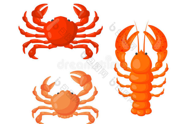 动物煮爪煮熟的蟹