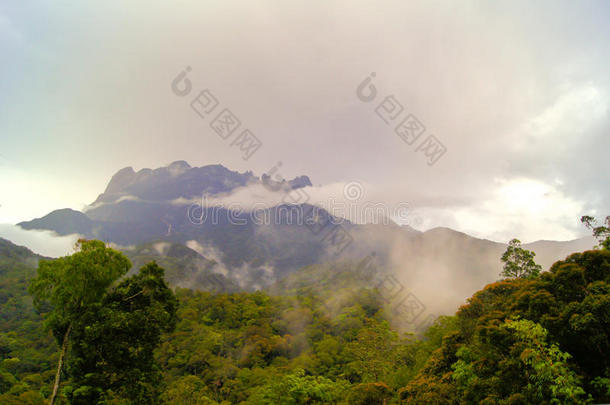 亚洲婆罗洲灌木气候云