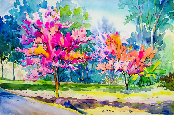 抽象绘画水彩原作野生喜马拉雅樱花。