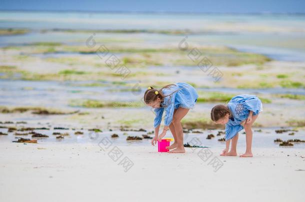 可爱的小女孩在海滩低潮时玩耍
