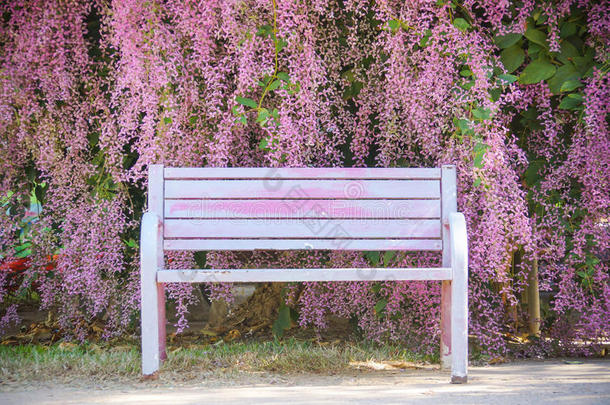 有<strong>紫色花</strong>朵的长凳
