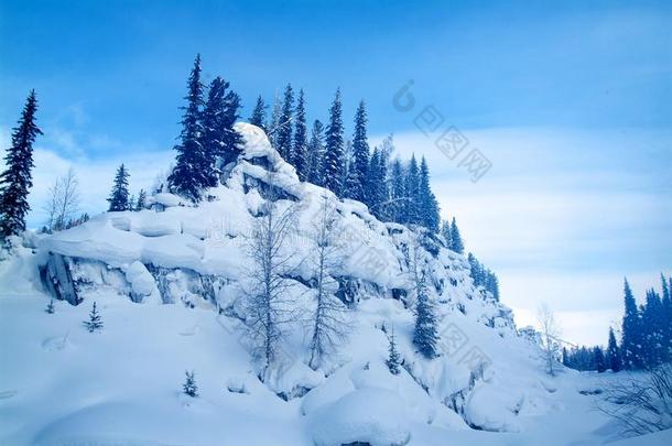 美丽的冬季景观，白雪覆盖的树木