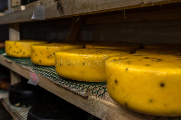 乳酪店的奶酪，架子上的奶酪已经成<strong>熟了</strong>